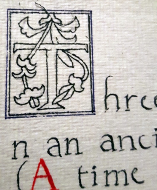 I then went through and illustrated an initial at the opening of each verse.